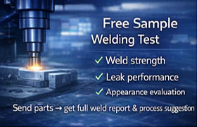 Free Sample Test in 48h